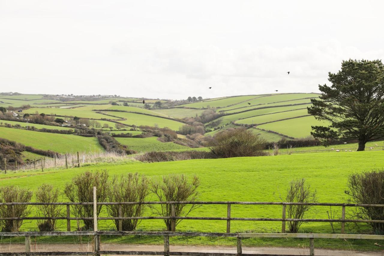 Northlight, Port Isaac Bay Holidays 외부 사진